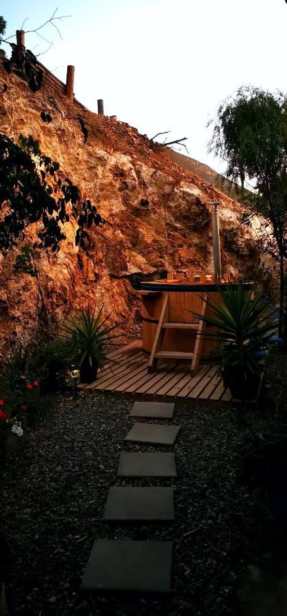 Casa Ollagua 호텔 Vicuña 외부 사진
