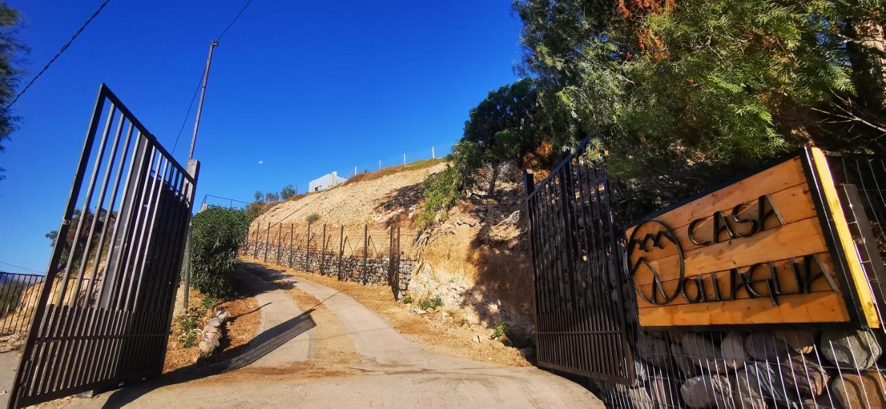 Casa Ollagua 호텔 Vicuña 외부 사진