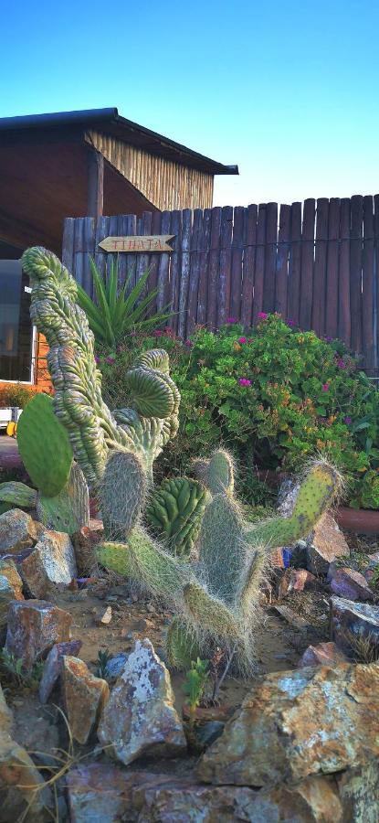 Casa Ollagua 호텔 Vicuña 외부 사진