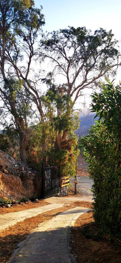 Casa Ollagua 호텔 Vicuña 외부 사진